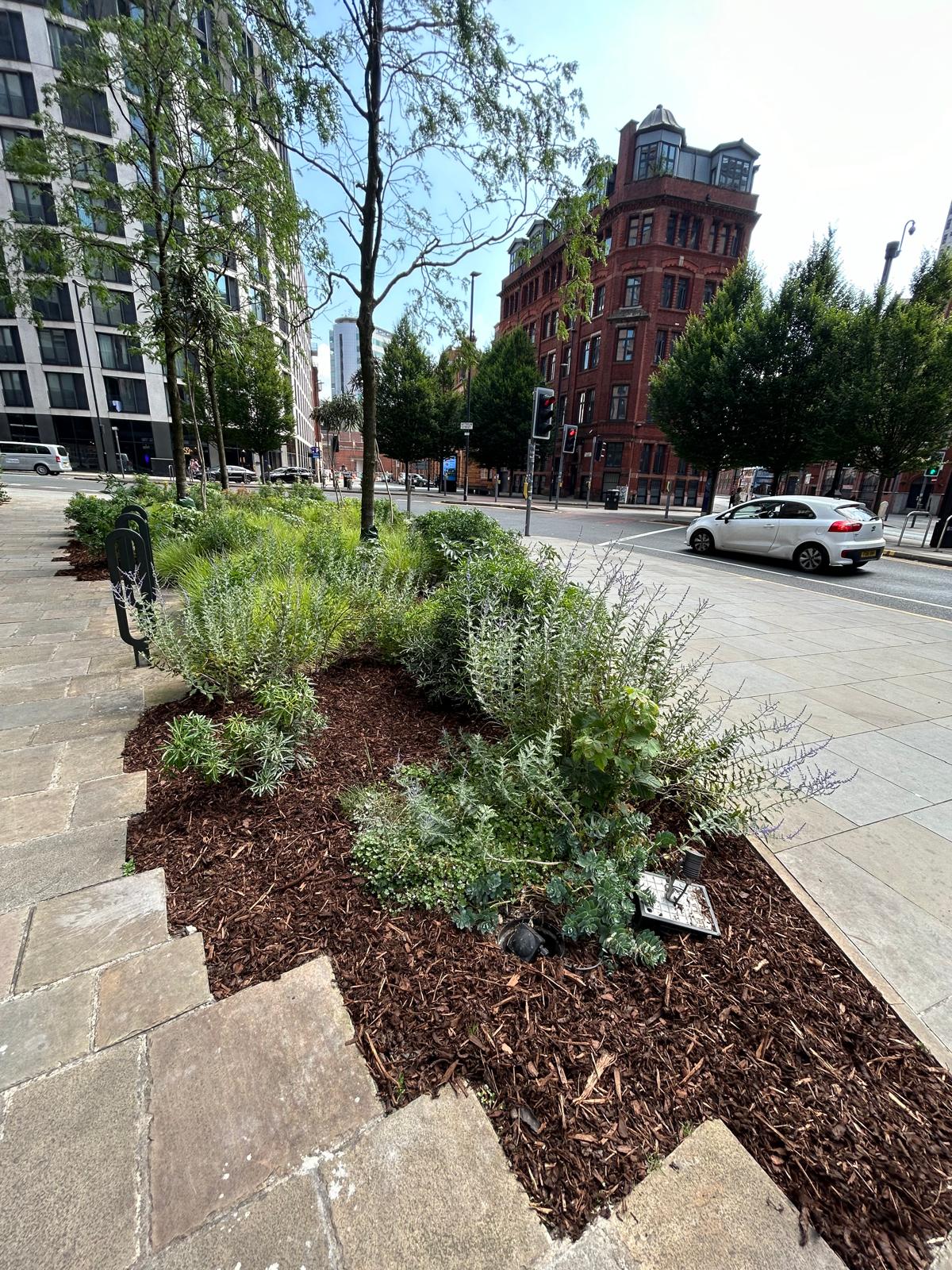 Commercial Gardening work in Manchester City Centre by JTC Gardening Services